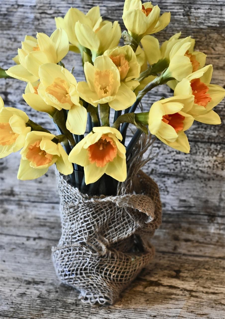 Bukett av påskeliljer satt i strie - Klikk for stort bilde