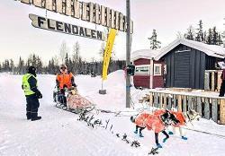 Bildet av en mann i vinterdress og refleksvest som står ved siden av en person bak et hundespann. I bakgrunnen er det skog og to bygninger.